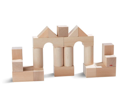 Basic Building Blocks 26 Piece Starter Set